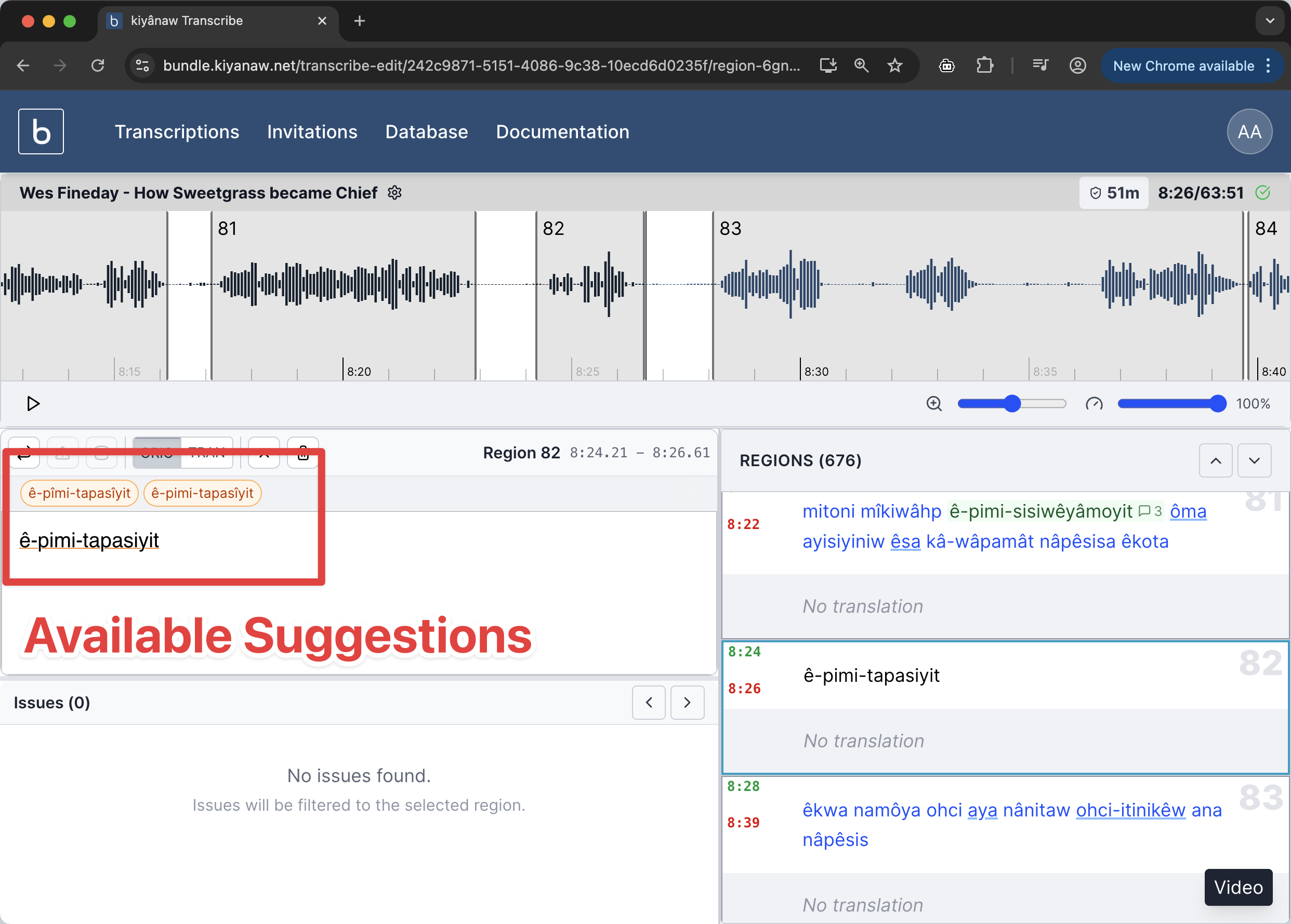 Spelling Suggestions